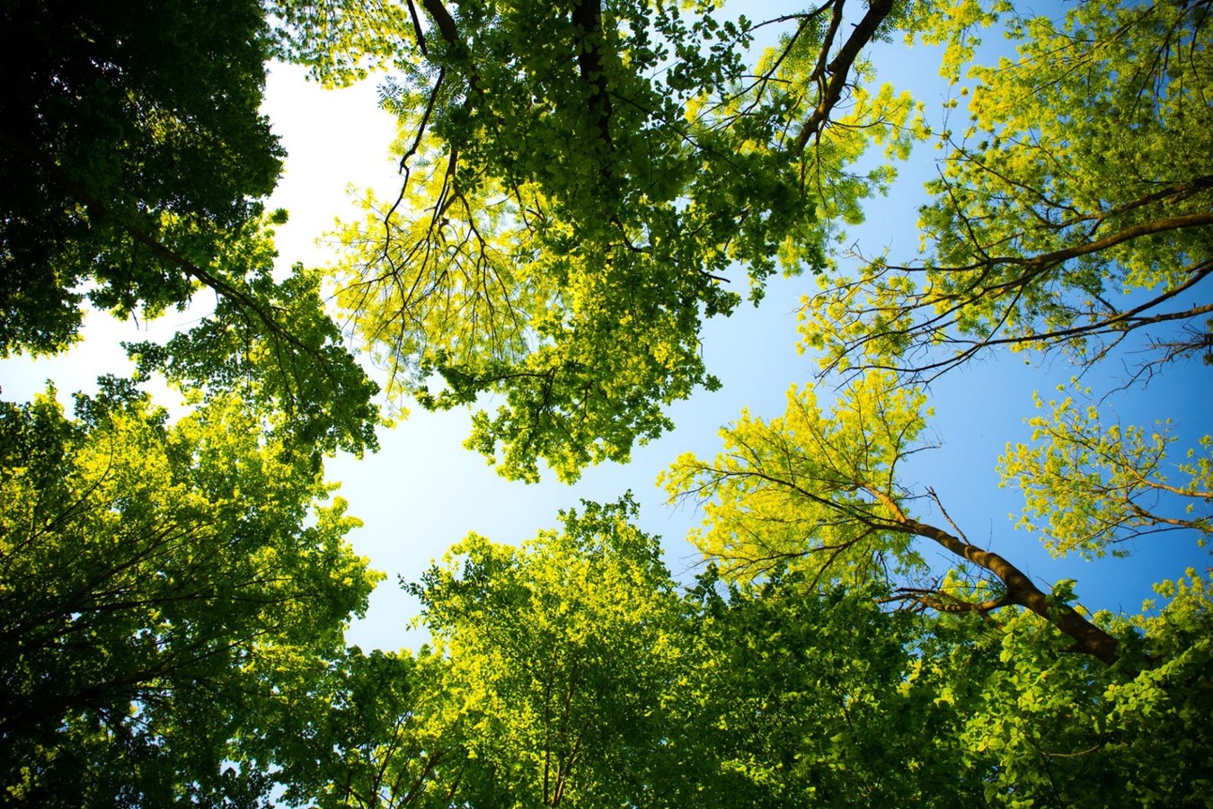 Les activités de la semaine organisées par la Ville de Rimouski 