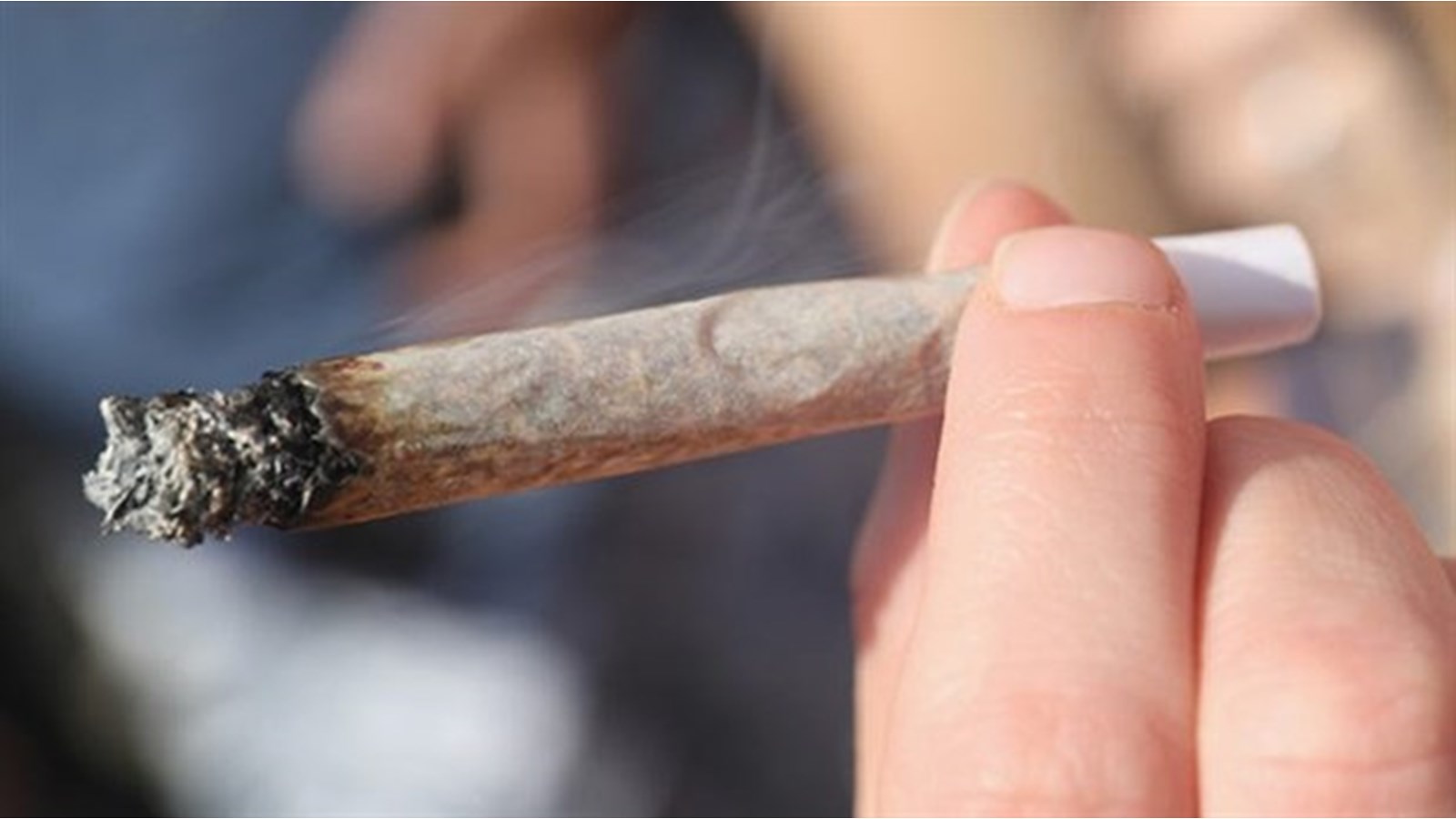 Cannabis à l’étranger: bonne ou mauvaise idée selon CAA-Québec? 