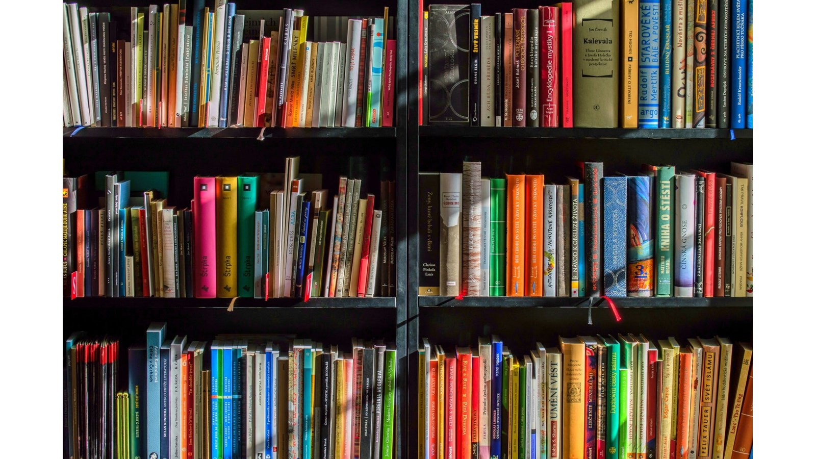 Conférences sur la transition et l'agriculture urbaine dans vos bibliothèques municipales