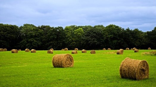 Utilisation des pesticides en agriculture: accueil positif 