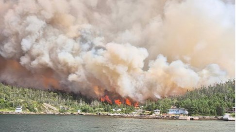 Environ 5,5 millions d'hectares brûlés par les feux de forêt jusqu'à présent