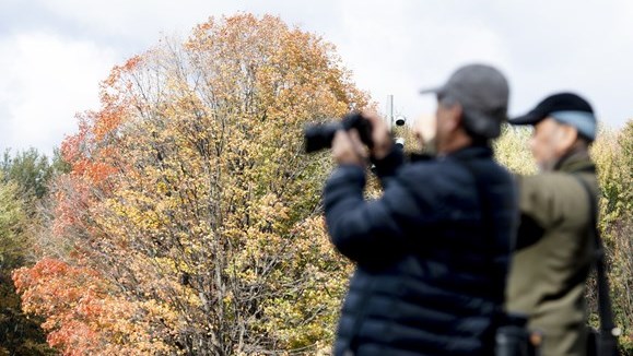 Un automne doux prévu partout au pays