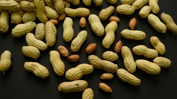 Donner des arachides aux bébés a permis d'éviter des allergies