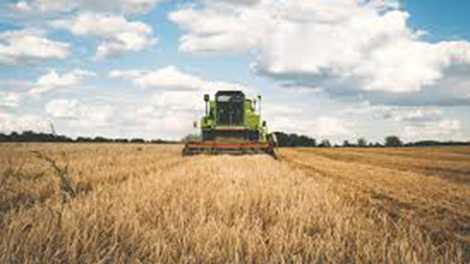 Symbiose agroalimentaire Montérégie: connecter les milieux pour optimiser les ressources
