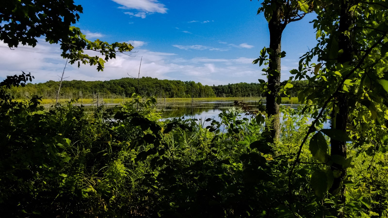 Nature-Action Québec fait l'acquisition de 63 hectares de la montagne de Rigaud