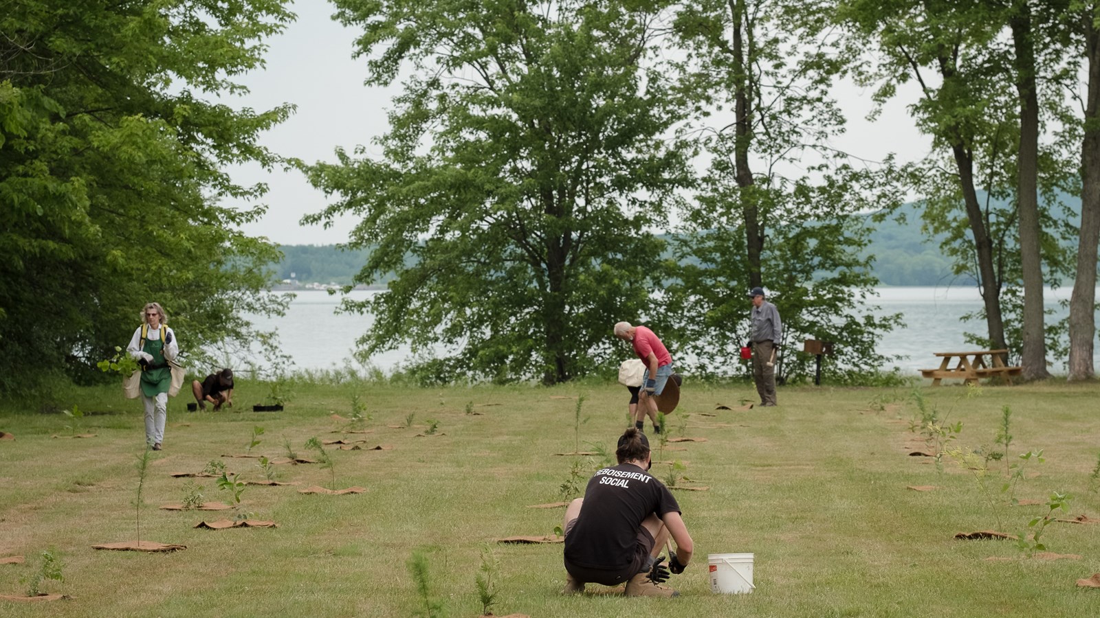 Le samedi 27 juin dernier, un important projet de reboisement de 550 arbres et 200 arbustes a été complété à Hudson à la suite à d'une initiative menée par la Ville avec la coopérative Arbre-Évolution.