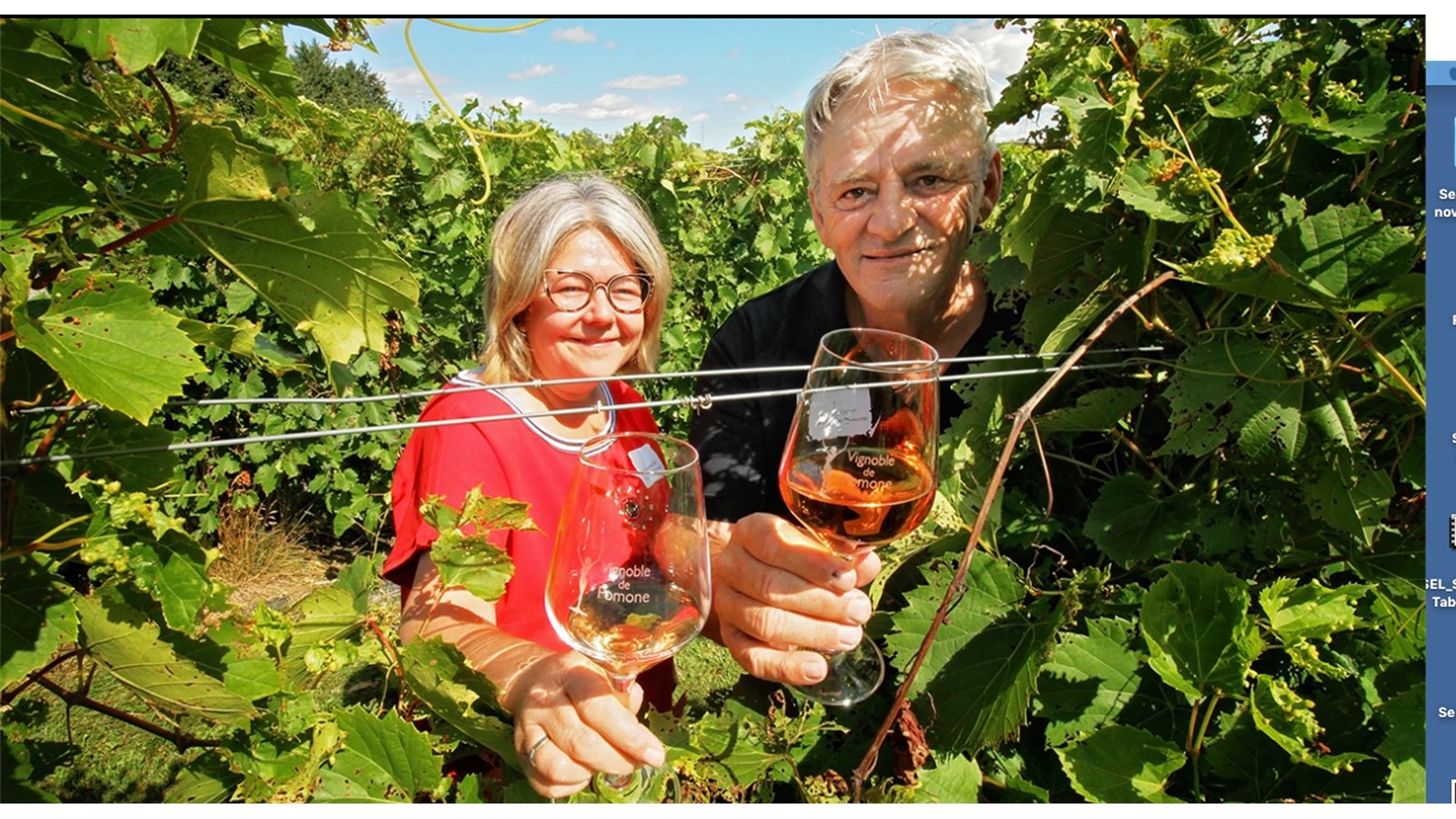 Vignoble de Pomone: le projet fou d'un couple de Coteau-du-Lac