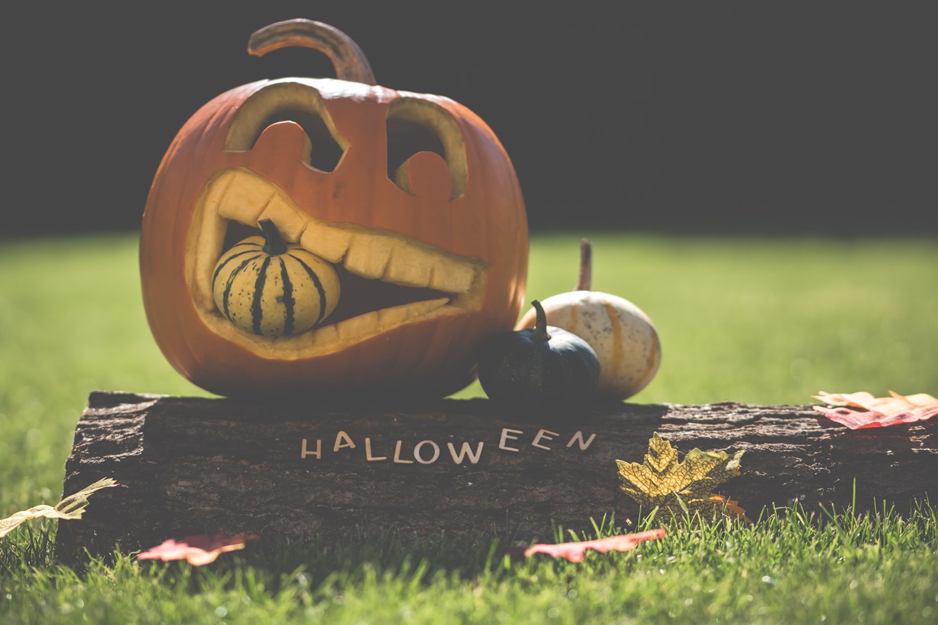 Comment pensez-vous célébrer l’Halloween cette année? 