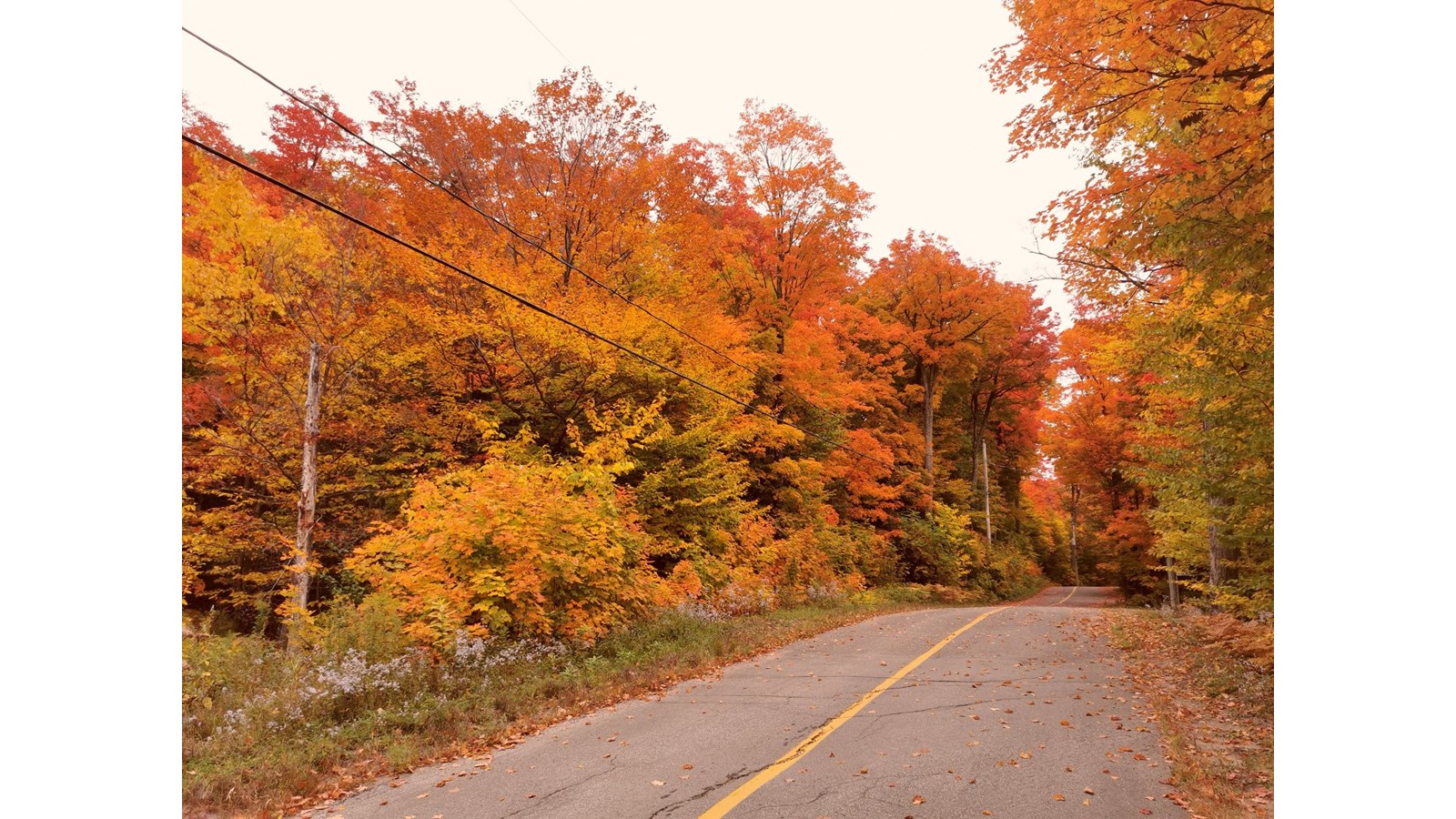 Captez-nous en photos les couleurs de Vaudreuil-Soulanges - Galerie 1