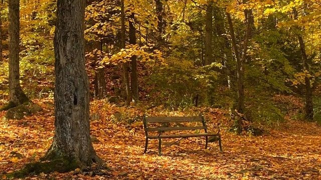 Le Mont Rigaud vue par Jessie Therrien