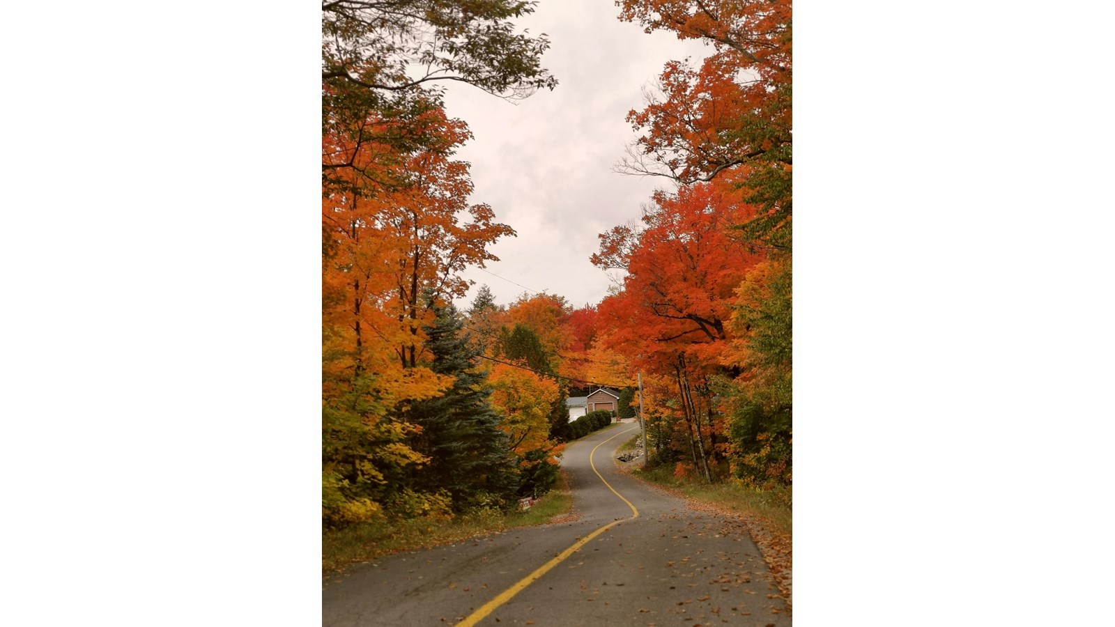 Captez-nous en photos les couleurs de Vaudreuil-Soulanges - Galerie 1