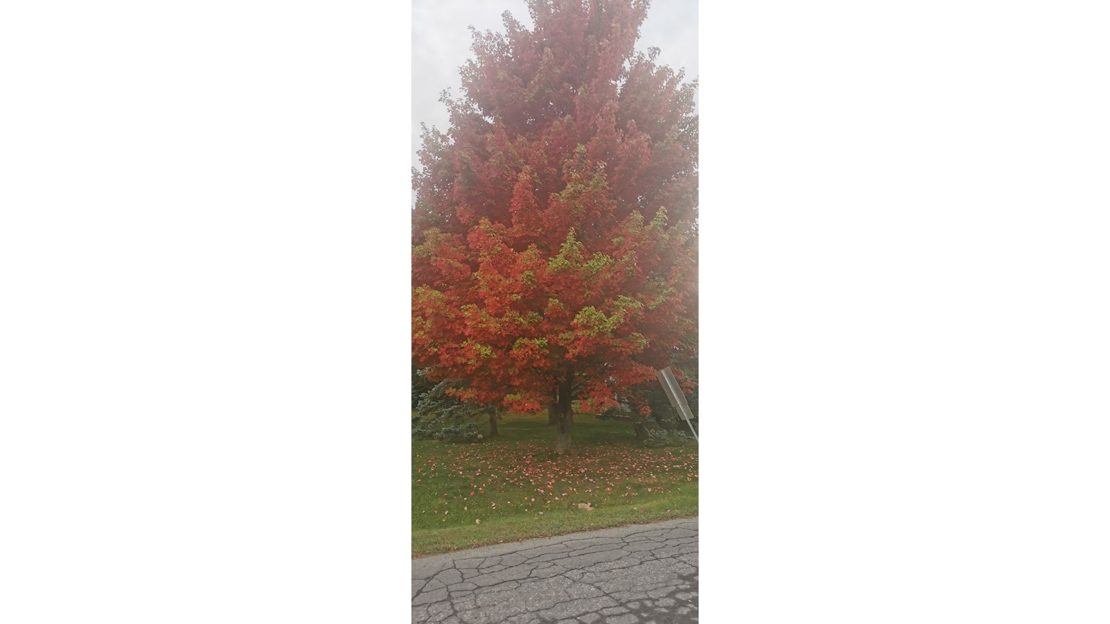 Captez-nous en photos les couleurs de Vaudreuil-Soulanges - Galerie 1