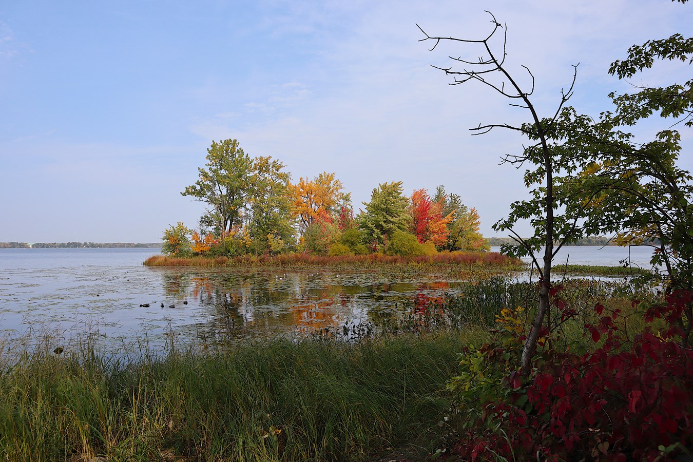Le parc Valois de Vaudreuil-Dorion vu par Pierre Claude