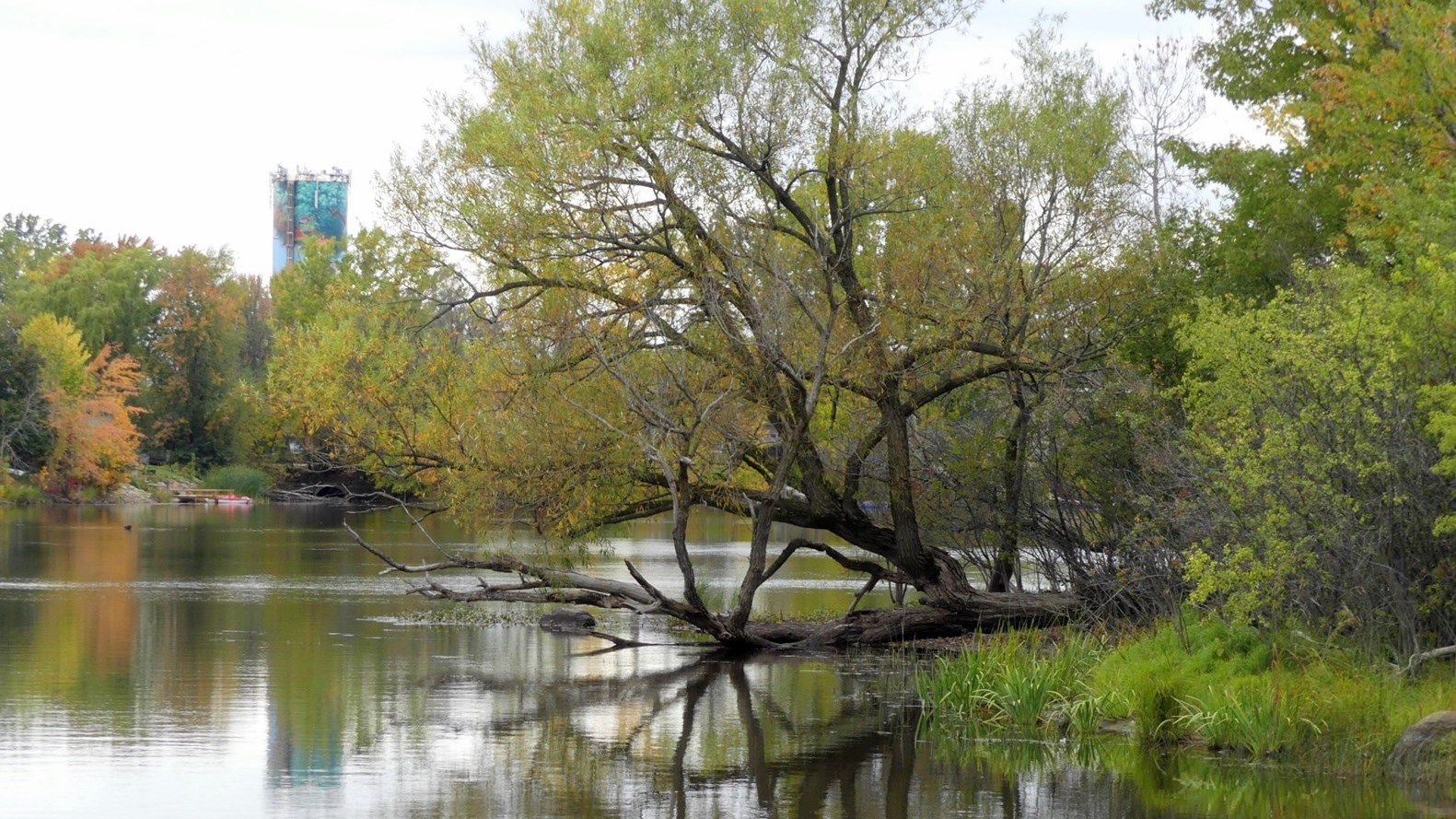 Captez-nous en photos les couleurs de Vaudreuil-Soulanges - Galerie 2