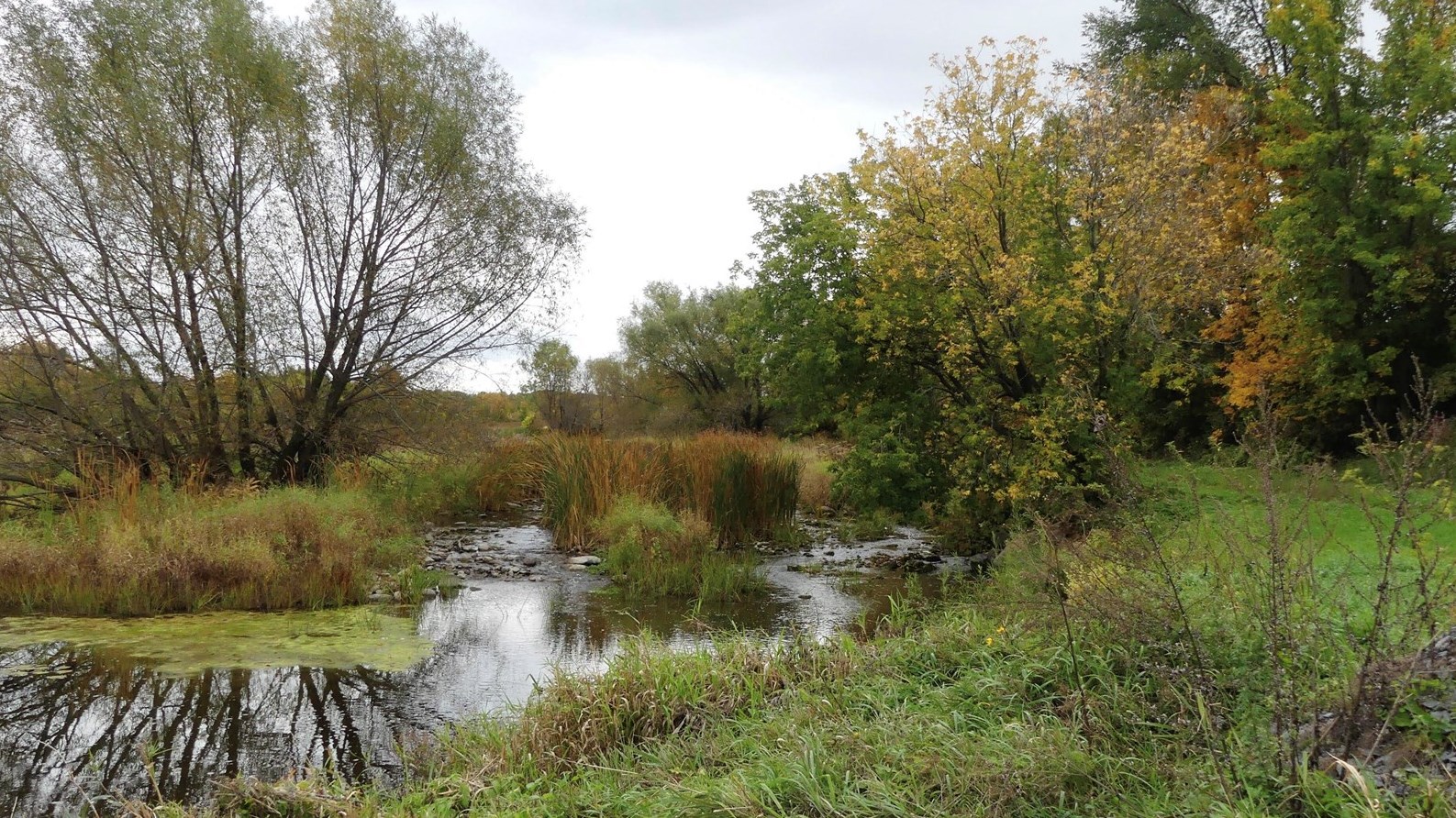 Captez-nous en photos les couleurs de Vaudreuil-Soulanges - Galerie 2