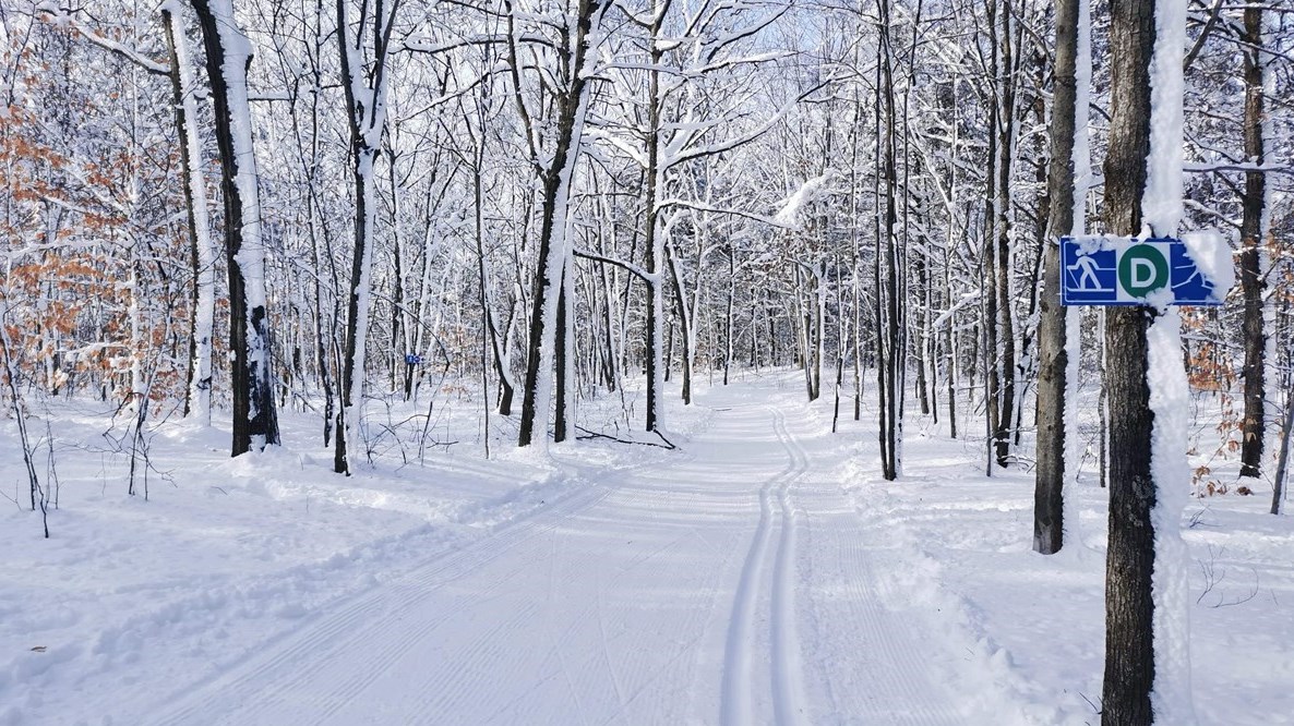 Voici 8 endroits dans la région où pratiquer le ski de fond et la raquette