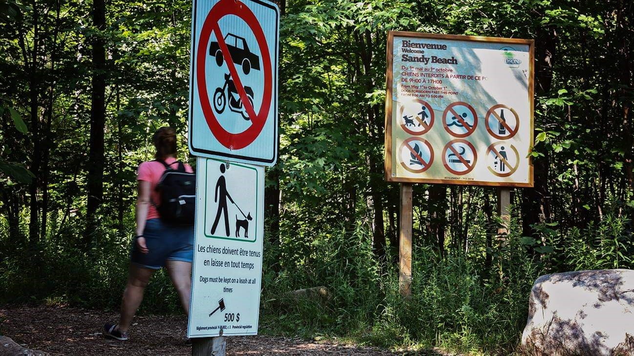 Des baigneurs font fi de la règlementation de Sandy Beach