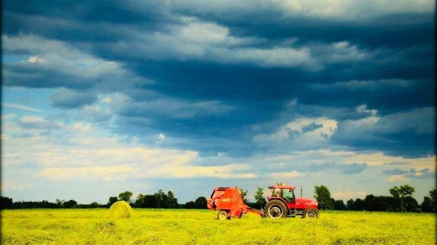 Orages violents et smog sur Vaudreuil-Soulanges