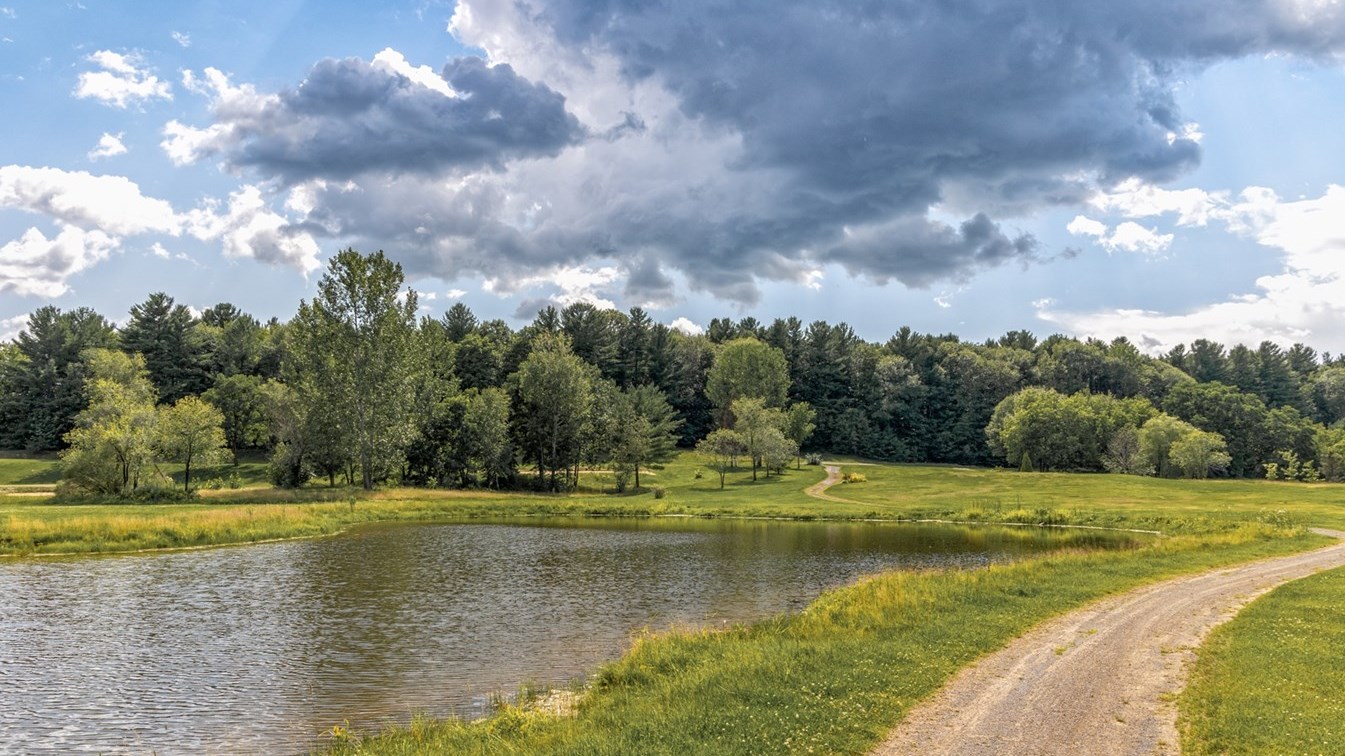 Le parc-nature Harwood est maintenant accessible à la population