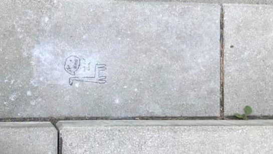 Actes de vandalisme: la Municipalité de Les Cèdres à la recherche du ou des responsables