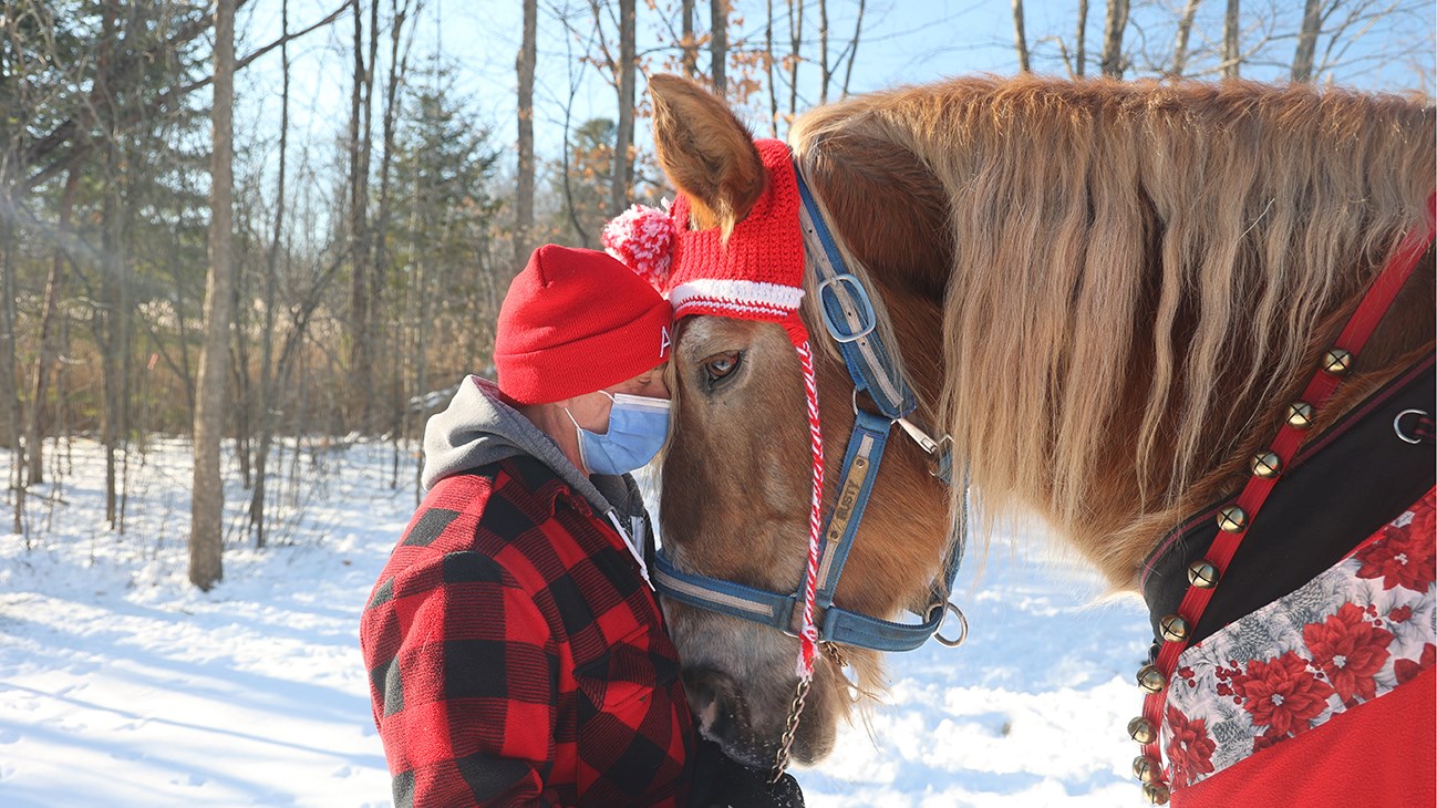 Un cheval apporte du réconfort à des patients aux soins palliatifs pour Noël