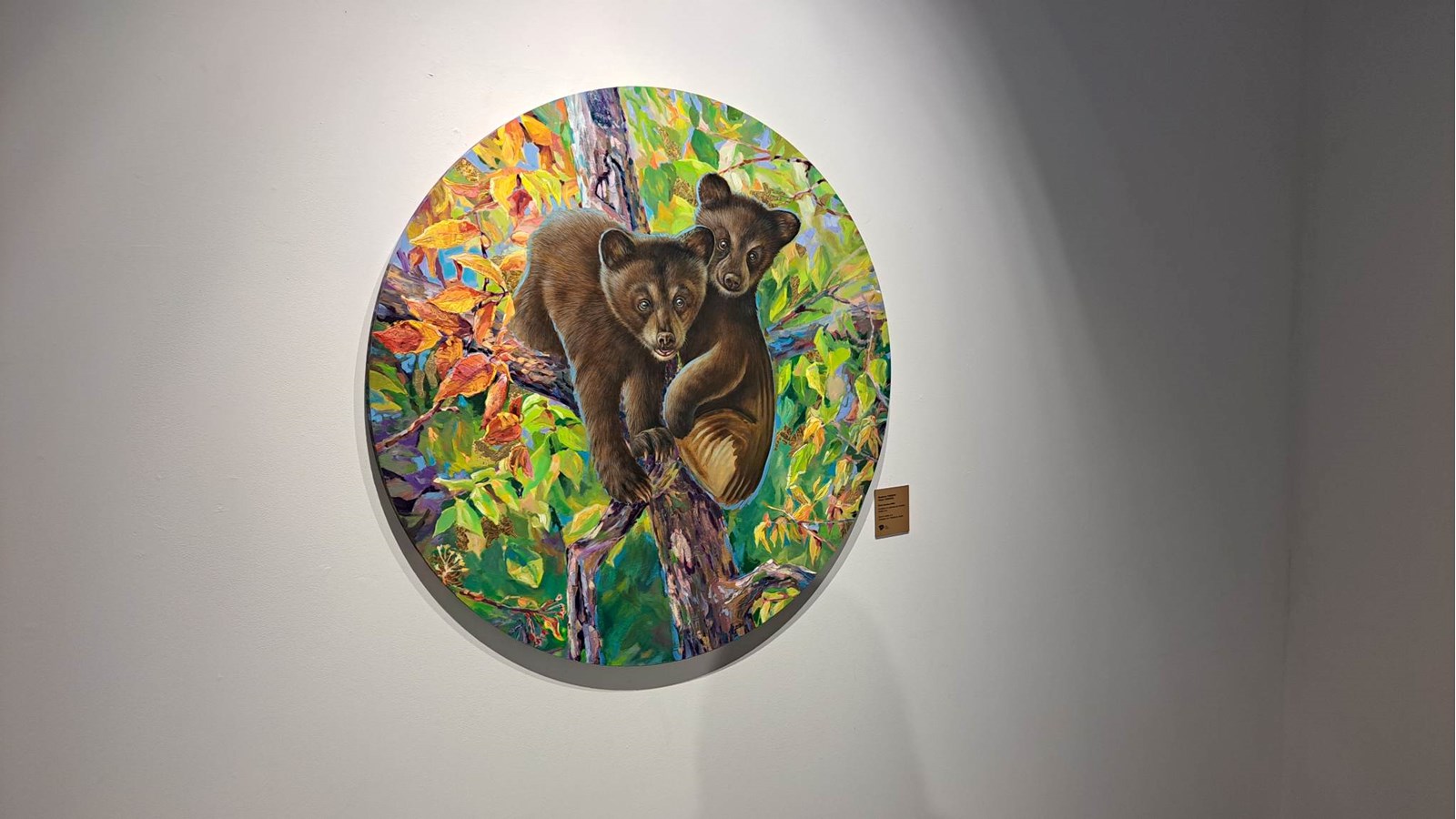 La faune et la flore pour agrémenter l'unité pédiatrique de l'Hôpital du Suroît