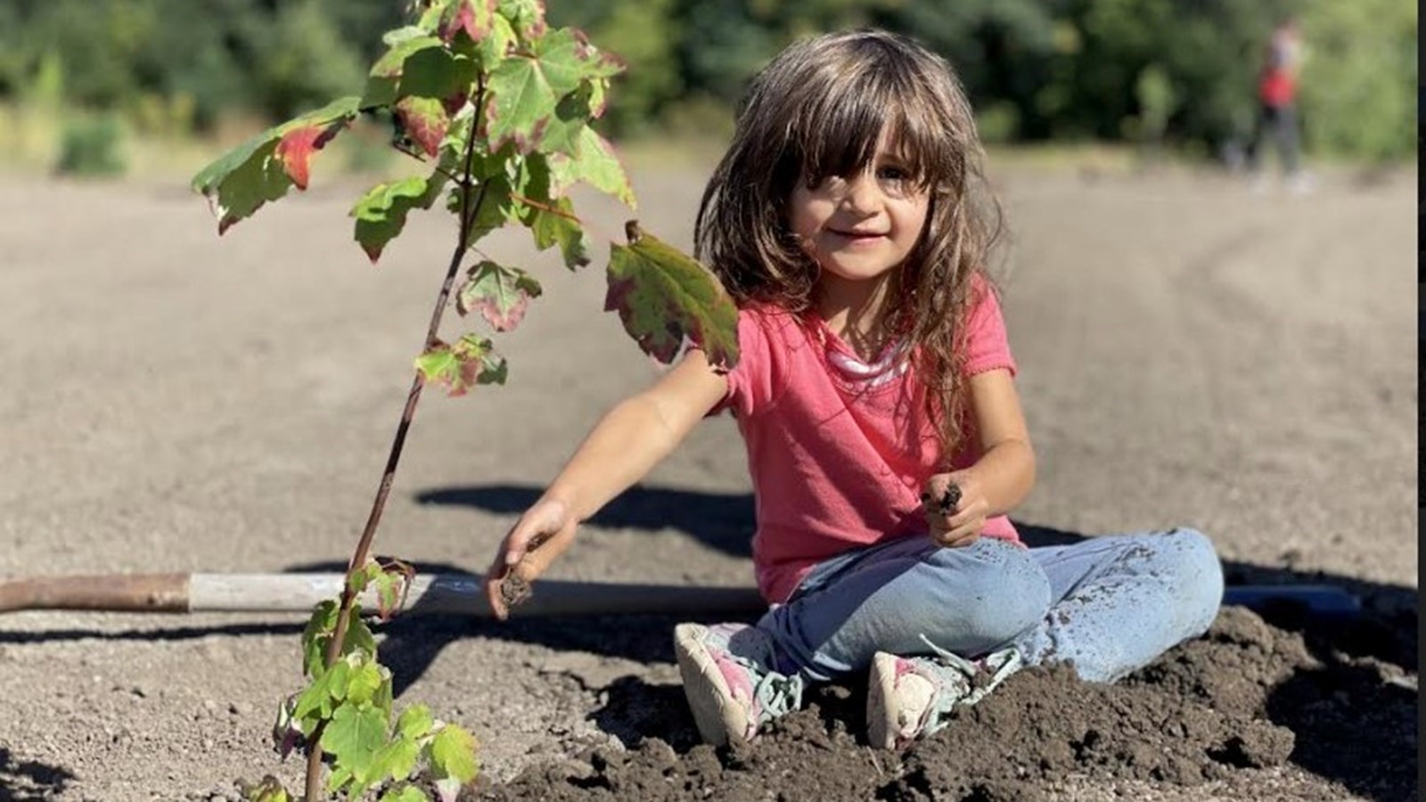 16 septembre 2022 : 1 000 arbres à planter : la Ville lance la 5e édition de la Semaine de la biodiversité