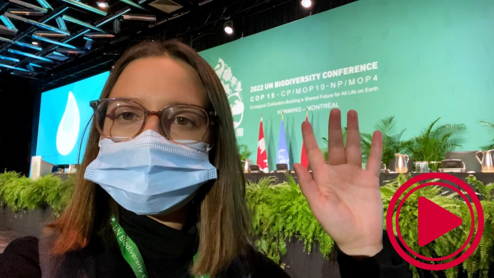 14 décembre 2022 : COP15 - Jour 8 | Le milieu des affaires s’invite à la COP15