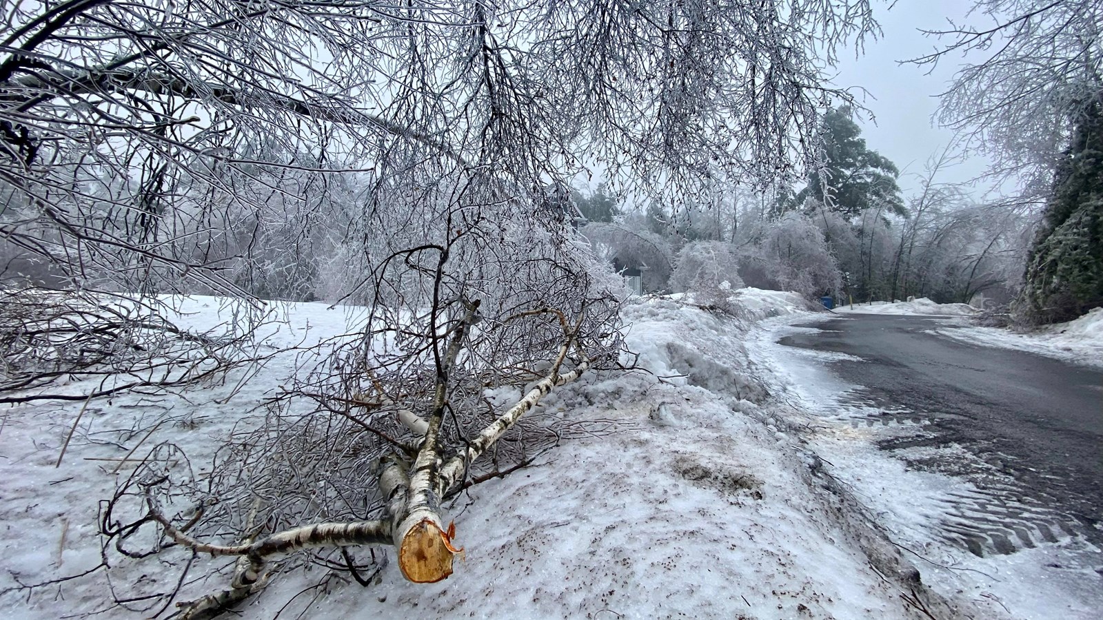 Retour en images sur la tempête de verglas