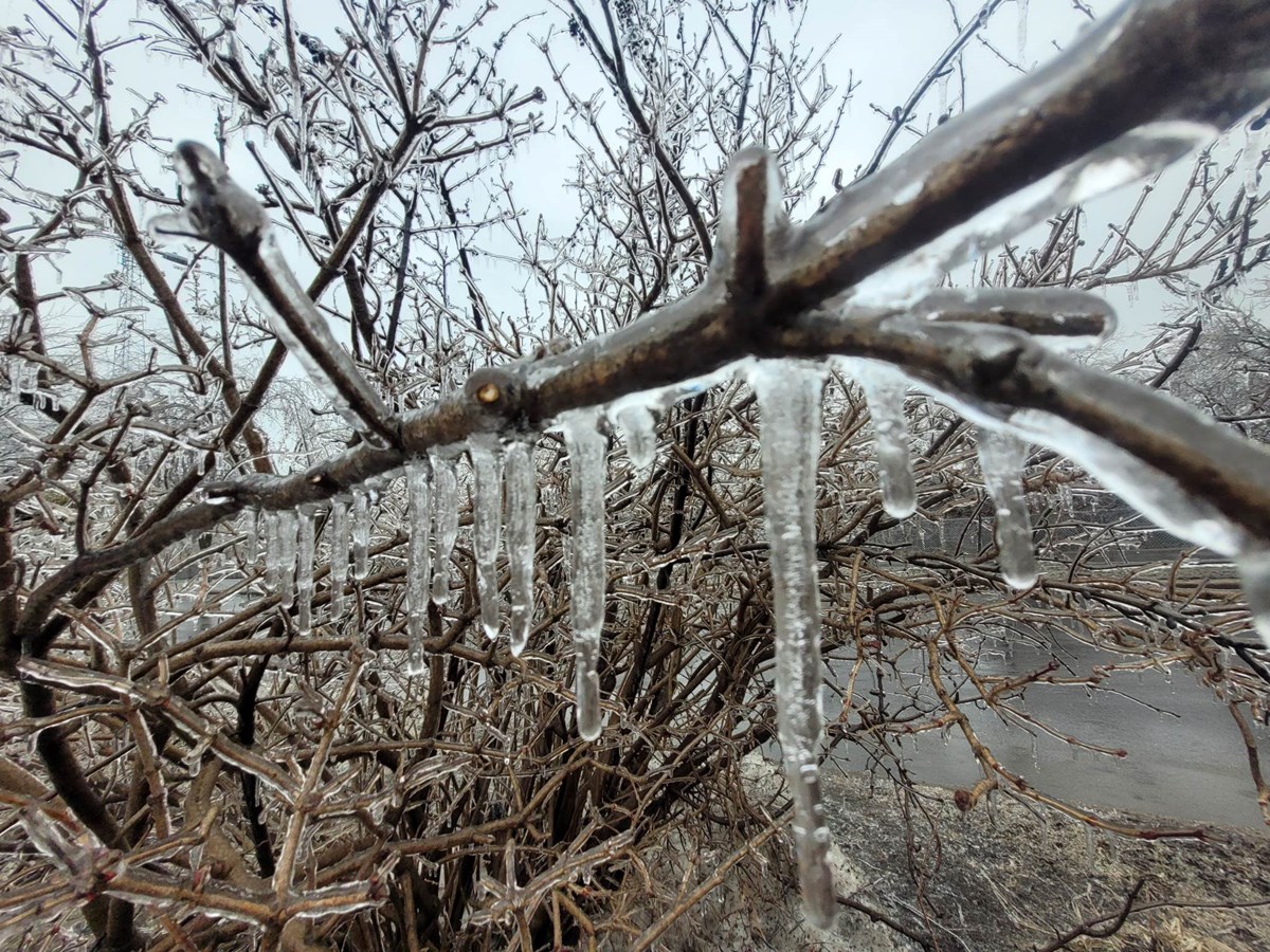 Retour en images sur la tempête de verglas