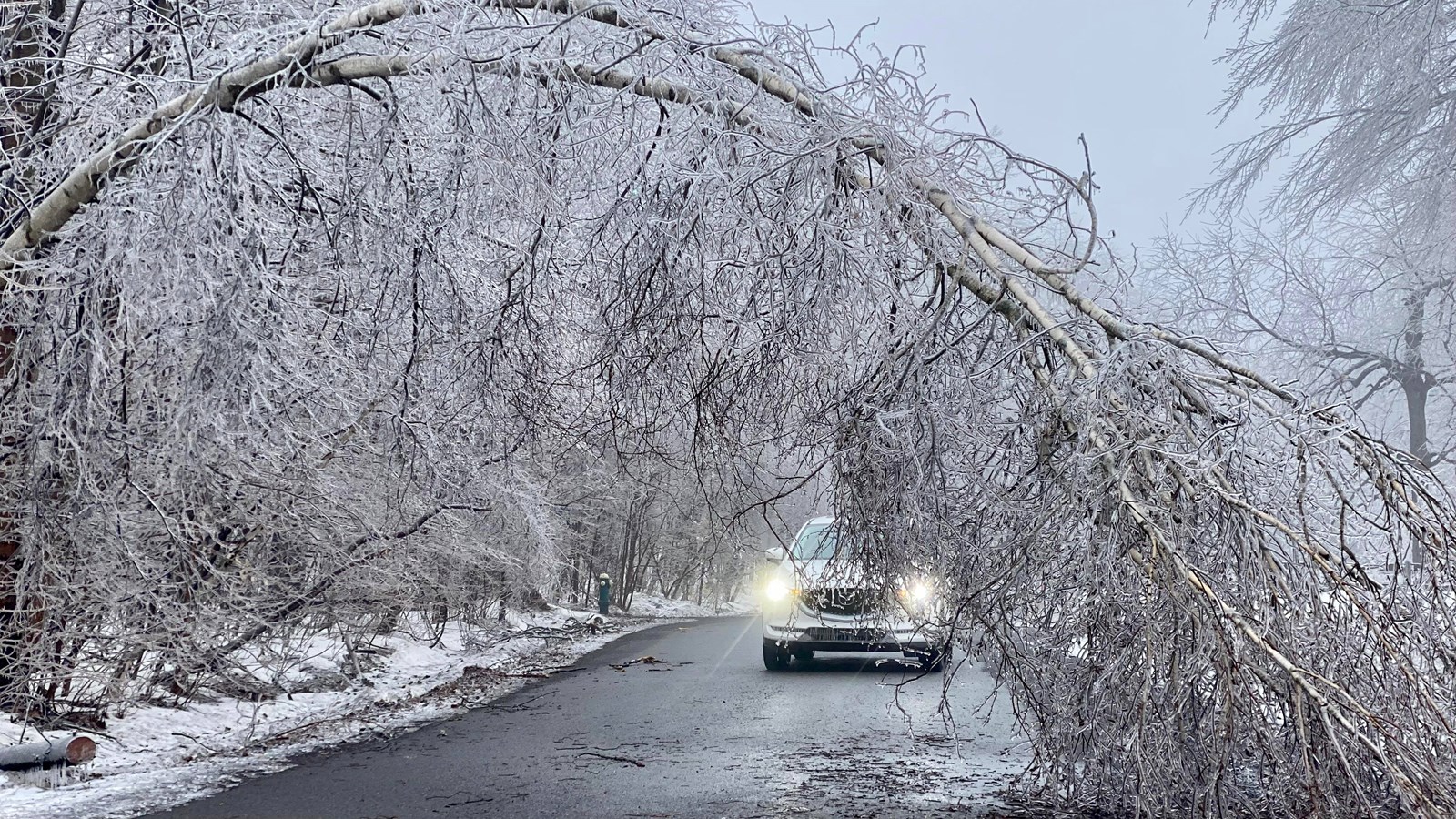 Retour en images sur la tempête de verglas