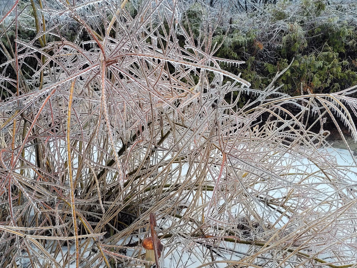 Retour en images sur la tempête de verglas