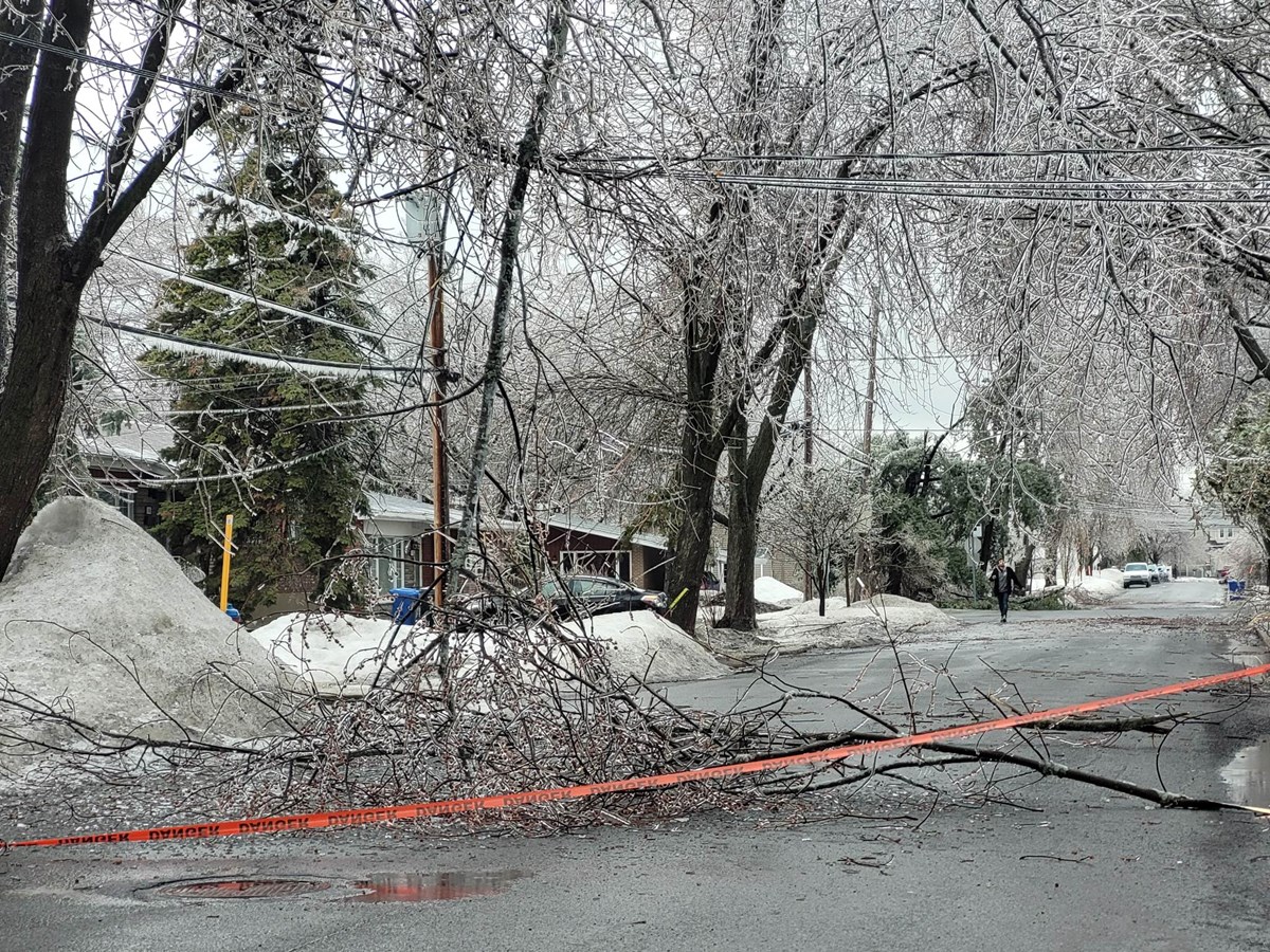 Retour en images sur la tempête de verglas