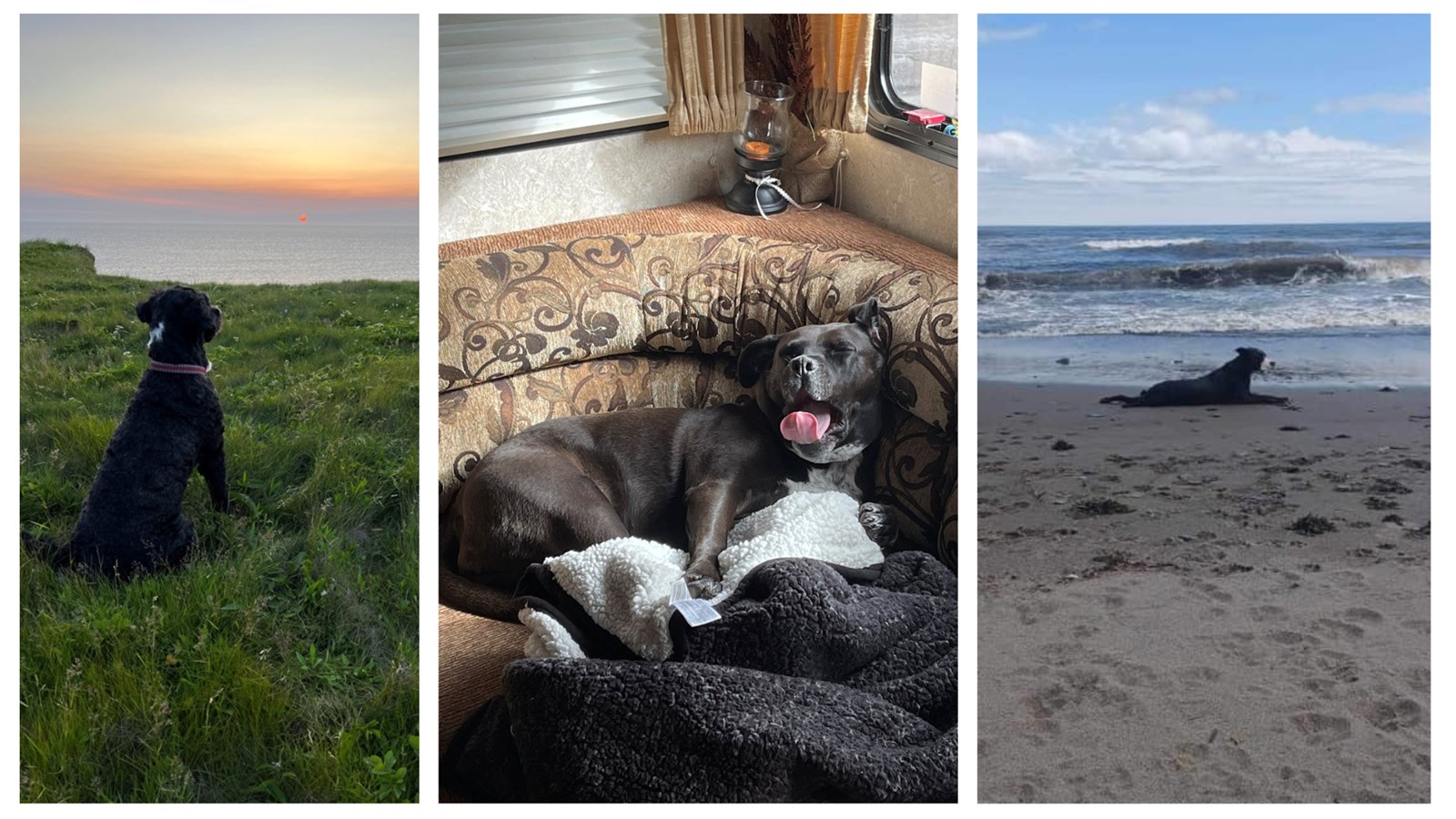 Lola / Daytona / Rocky