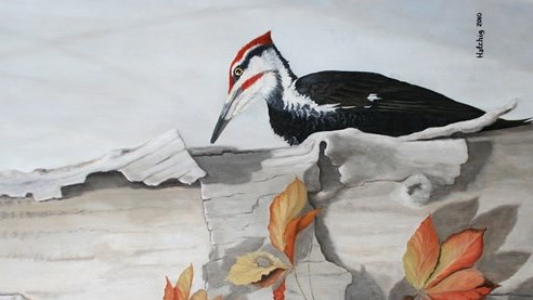 "Pileated Woodpecker", huile sur toile, 24"x20", par Hatchig Ibisoglue 