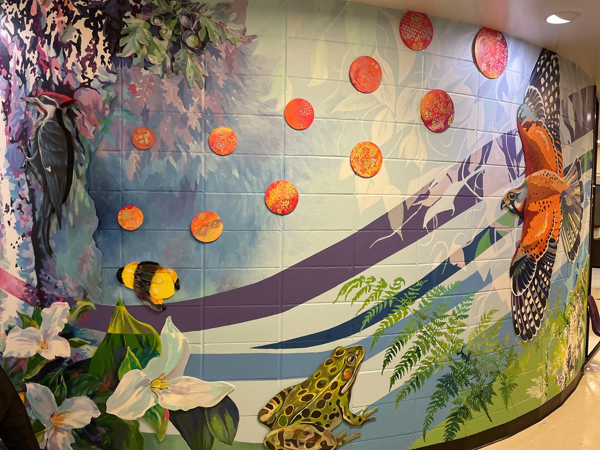 Natura prend son envol à l'école Mount Pleasant à Hudson