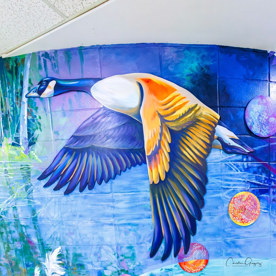 Natura prend son envol à l'école Mount Pleasant à Hudson