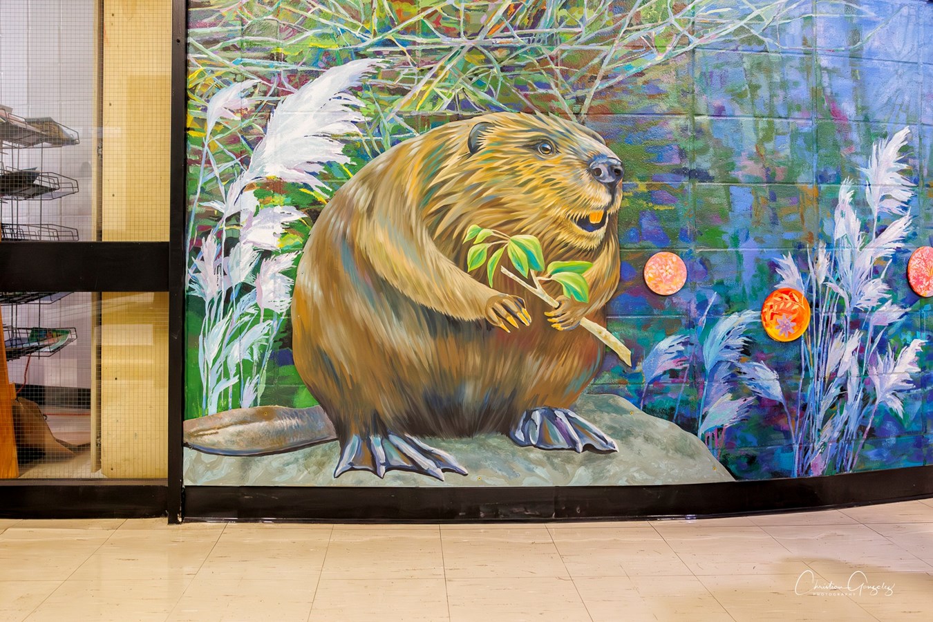 Natura takes flight at Hudson's Mount Pleasant School