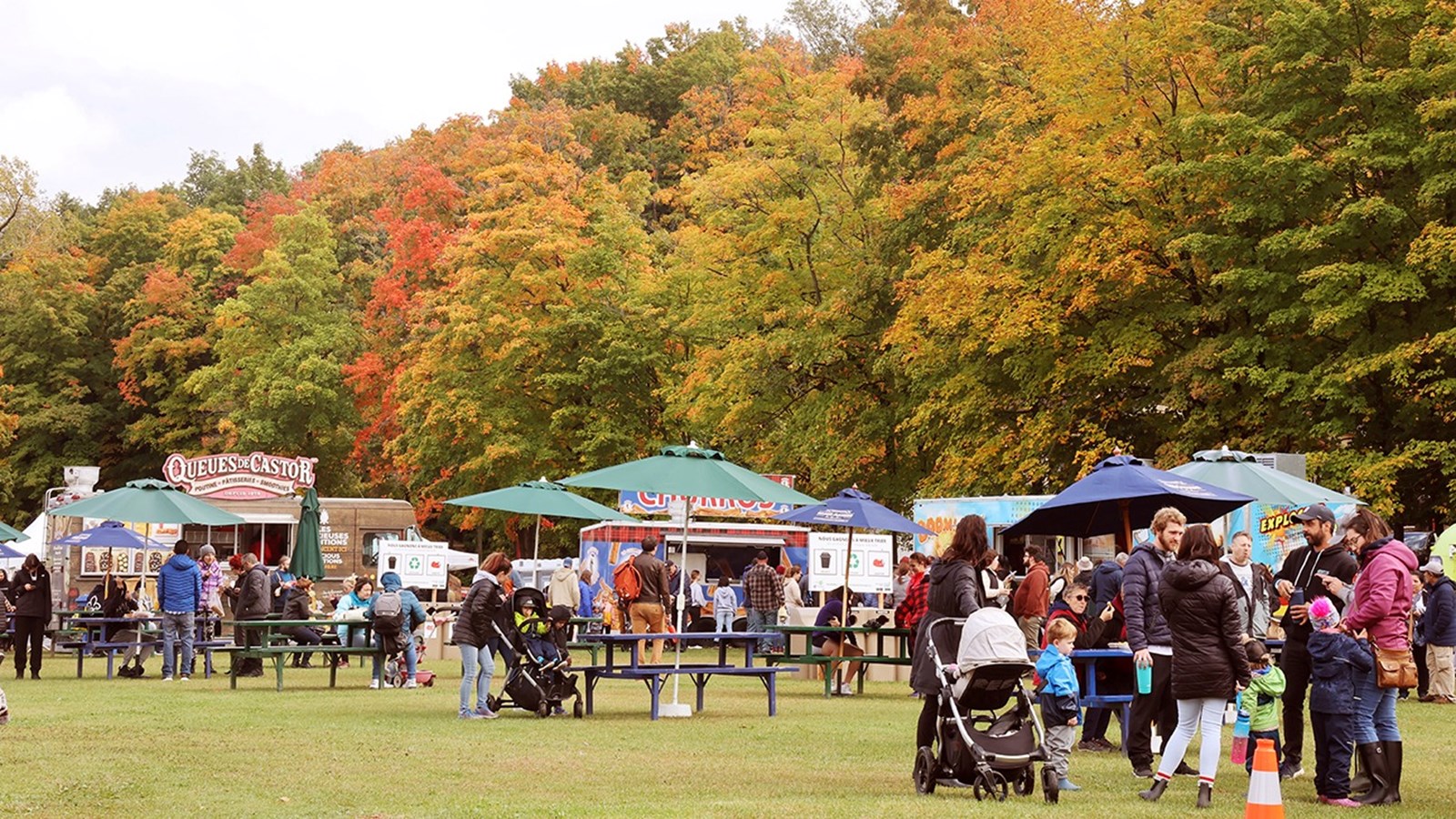 Retour en images sur l'édition 2023 du Festival des couleurs de Rigaud