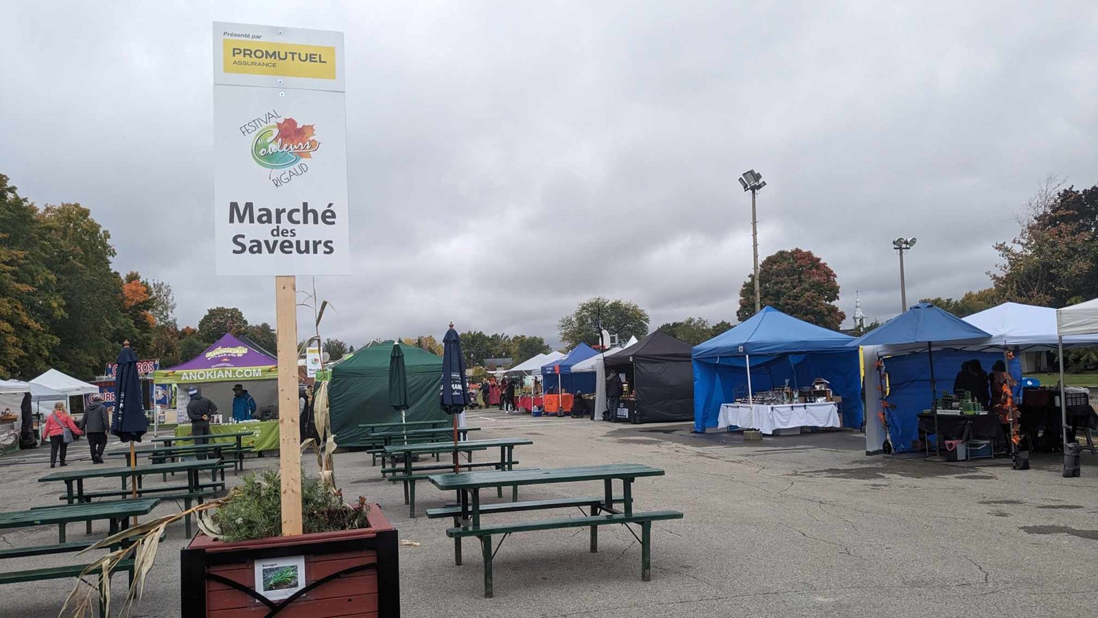 Retour en images sur l'édition 2023 du Festival des couleurs de Rigaud