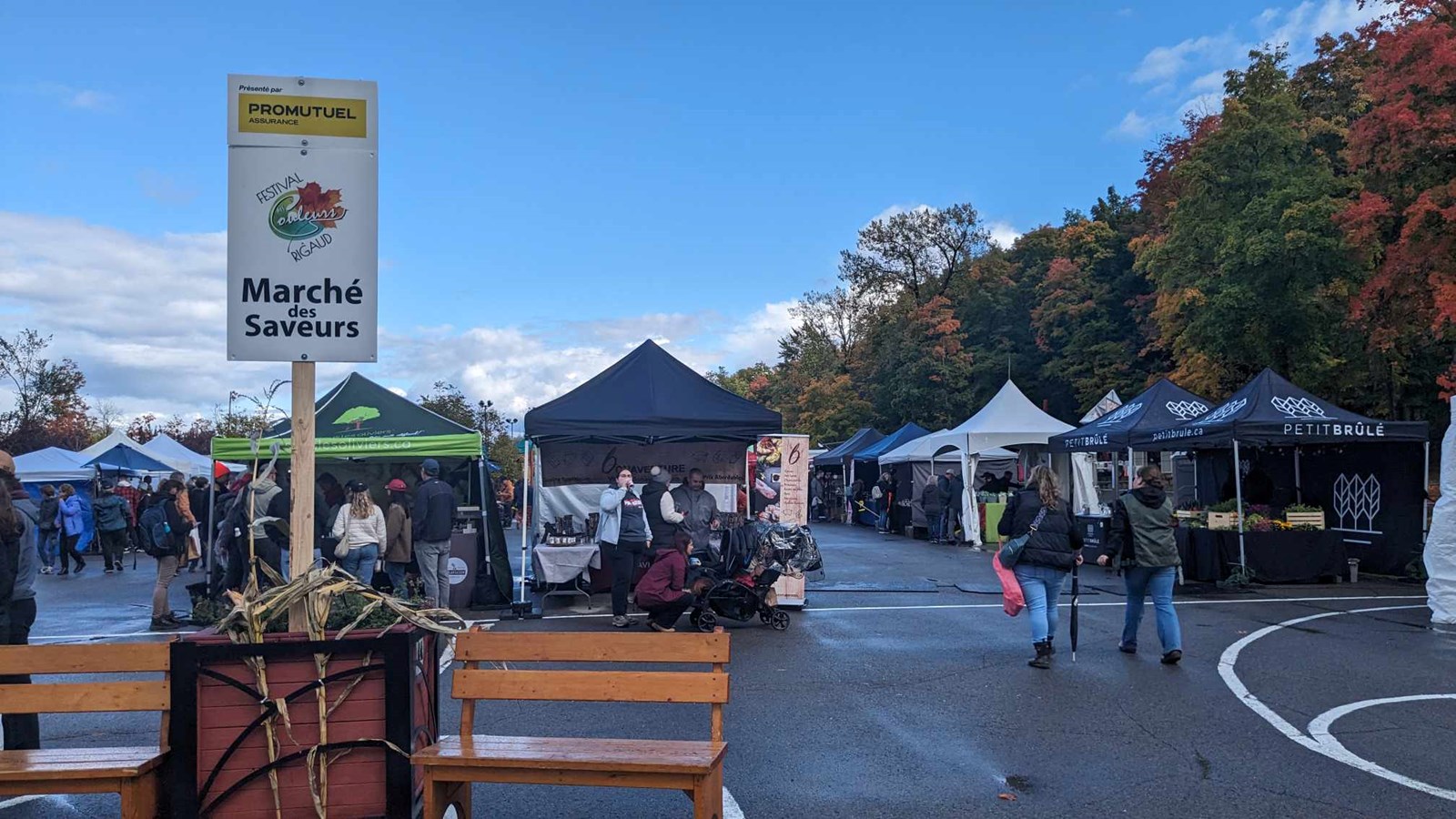 Retour en images sur l'édition 2023 du Festival des couleurs de Rigaud