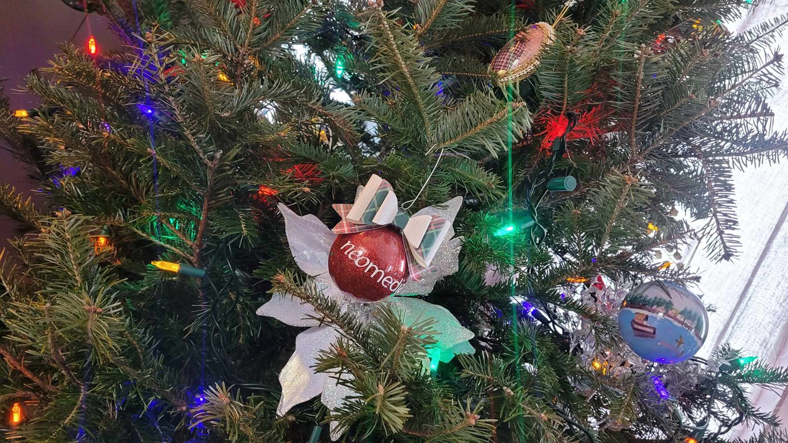 Sapin de Noël naturel: conseils pour réduire les risques d'incendies accidentels 