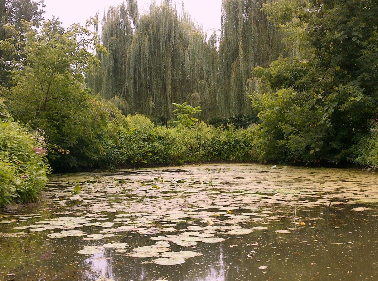 Restauration des bandes riveraines: Le COBAVER-VS présente ses résultats