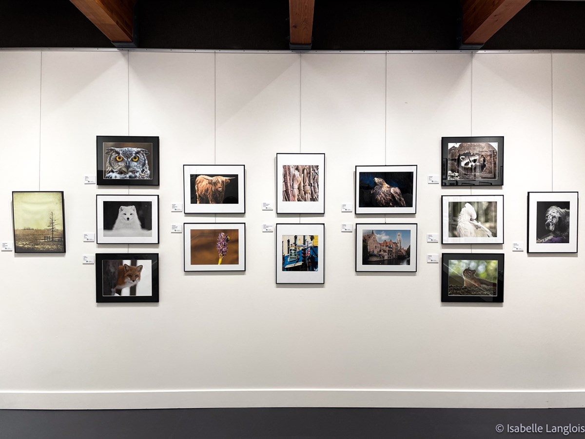 Le Club photo Vaudreuil-Dorion expose ses meilleures photos