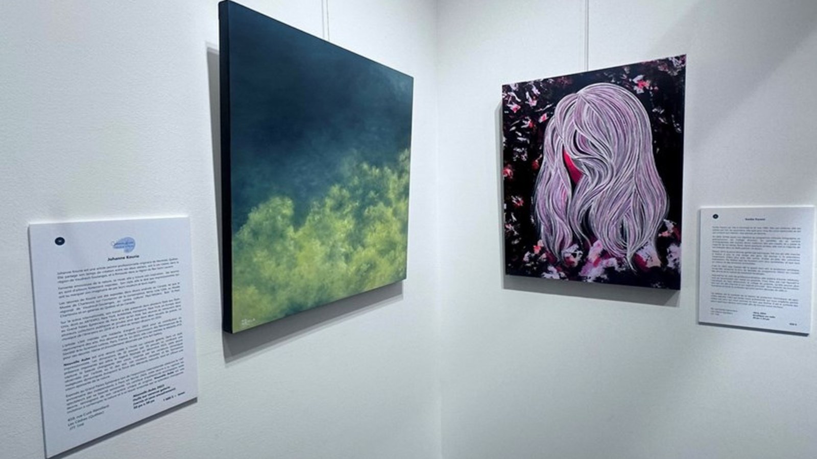 Oeuvres de l'exposition La Route des arts de Vaudreuil-Soulanges 2024