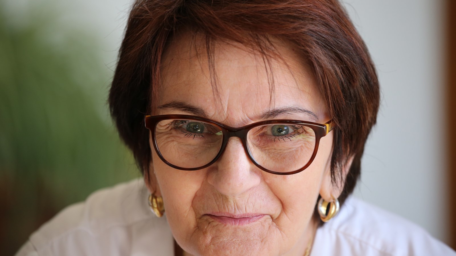 Rivière-Beaudette devient Municipalité amie des aînés