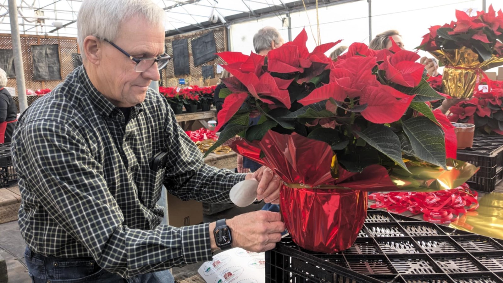 La campagne de poinsettias de la MSPVS se met en branle