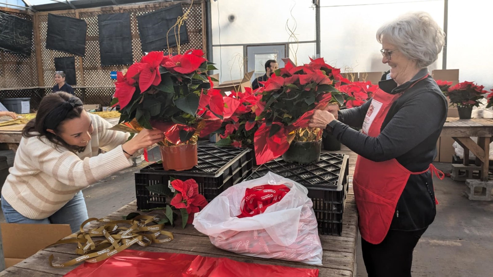 La campagne de poinsettias de la MSPVS se met en branle