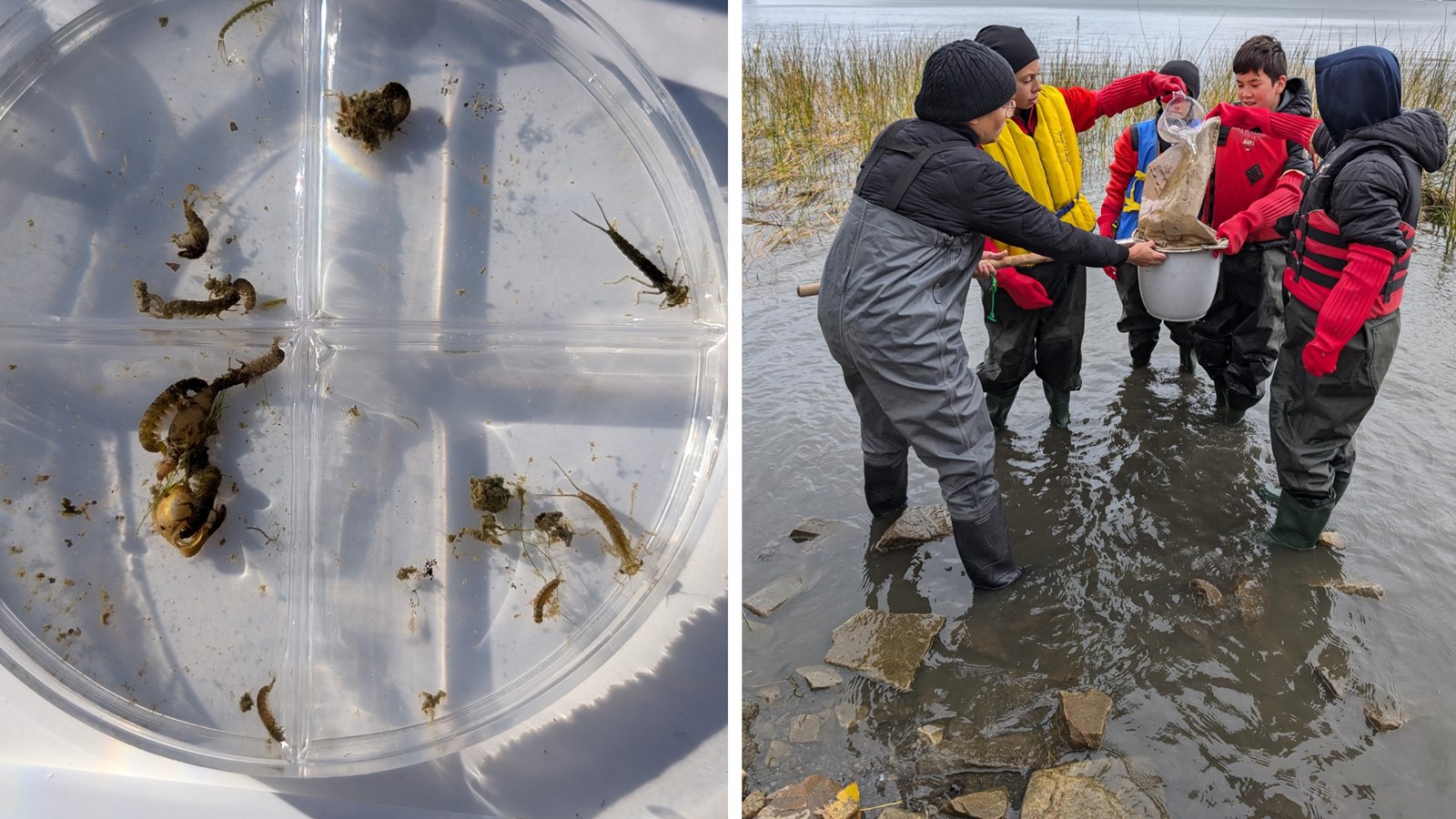 Cinq classes de Vaudreuil-Soulanges se sont initiées à la science de l'eau