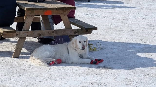Une édition festive du Festi-Glace à Saint-Zotique